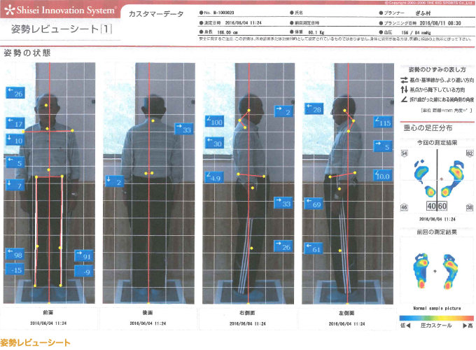 姿勢レビューシート